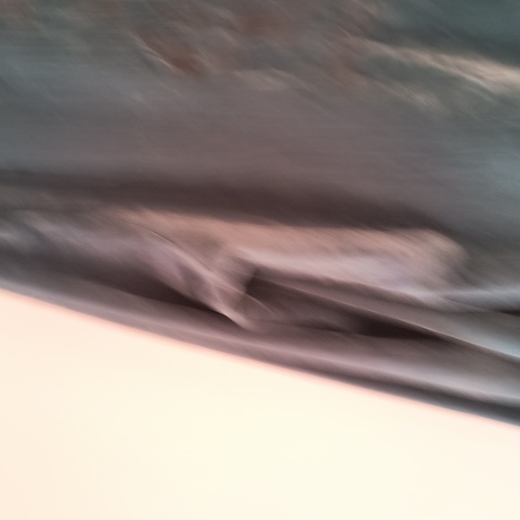 Jacket - Picture 3 of 5